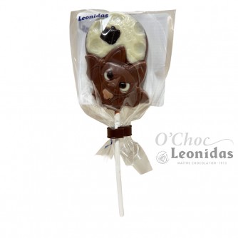 Lollipop vleermuis