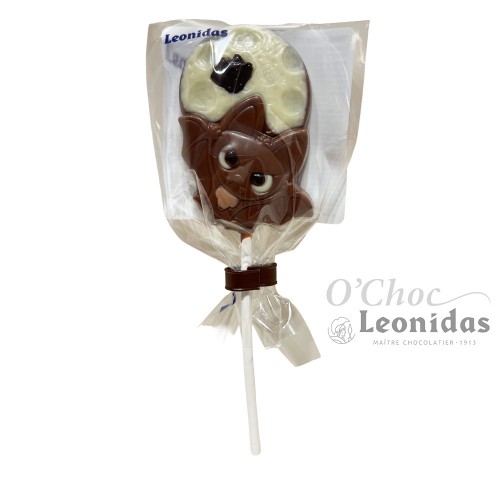 Lollipop vleermuis