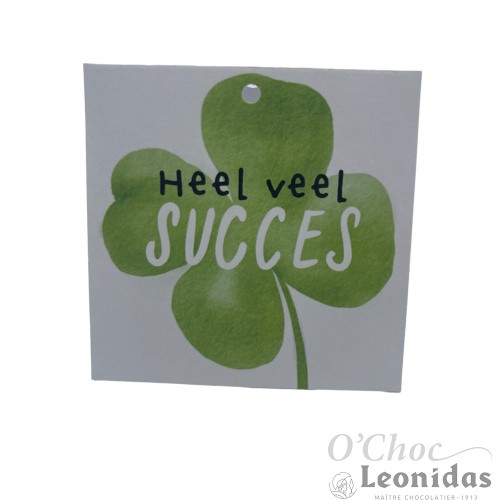 Hallmark Heel veel succes Greeting cards